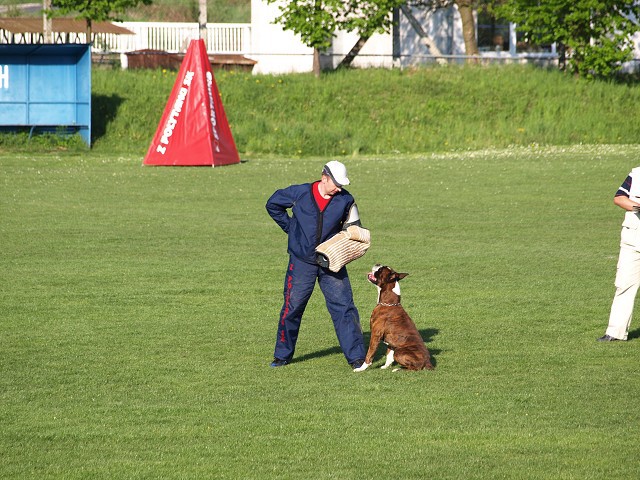 www.atibox.net * www.euroboxer.eu * www.boxergenealogia.eu